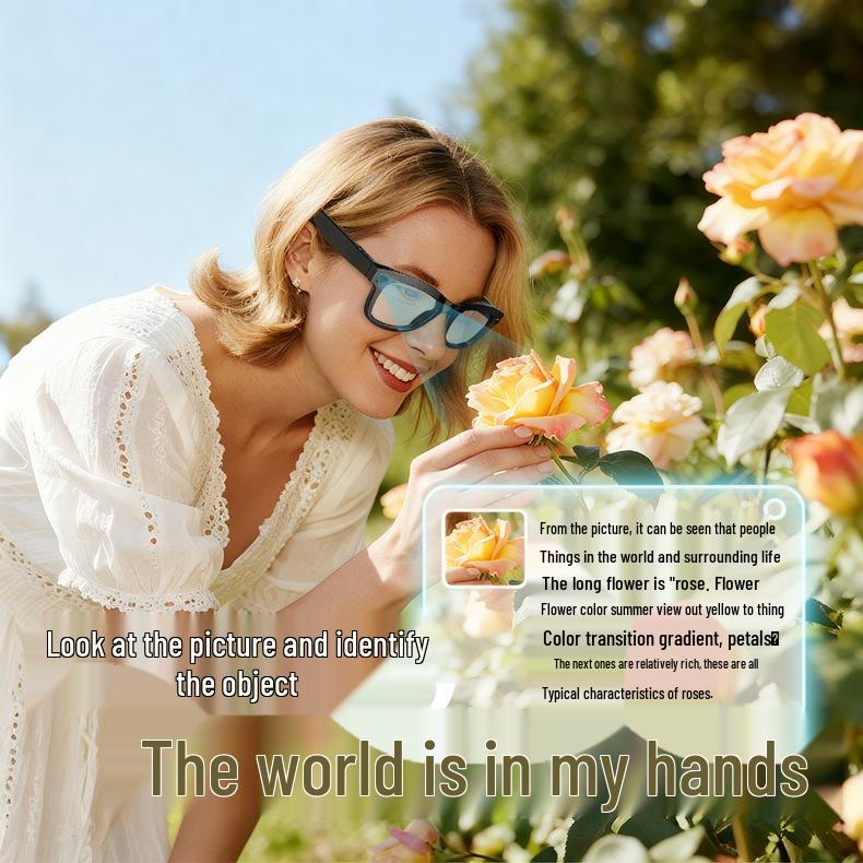 AI Smart Photo Glasses M01Pro: Voice Assistant, Image Recognition, Translation, Bluetooth, 800W Pix.