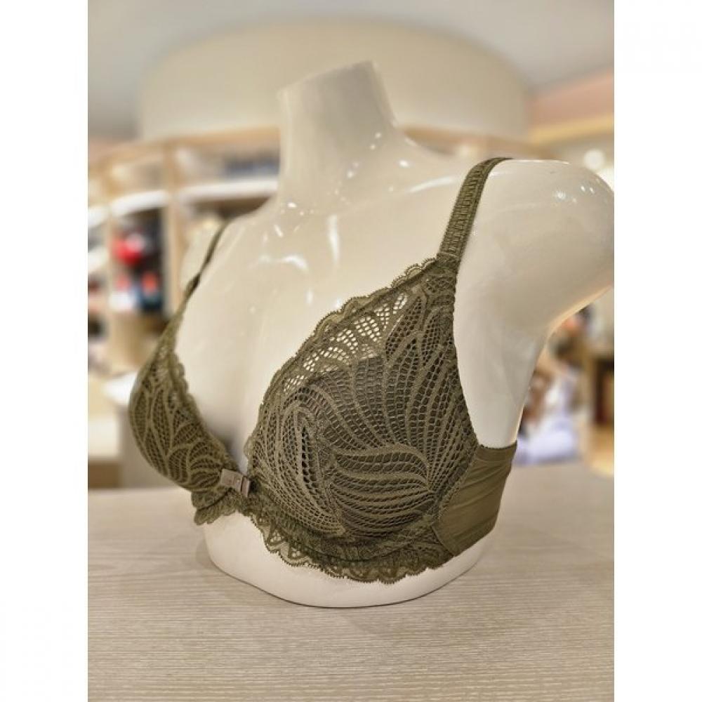 Barbara Khaki Lace Molded Bra Abr4931