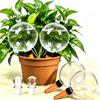26 Ounce Extra Large Plant Watering Globes - Self-Absorbing Automatic Drip Waterer for Indoor Outdoor Potted Plants