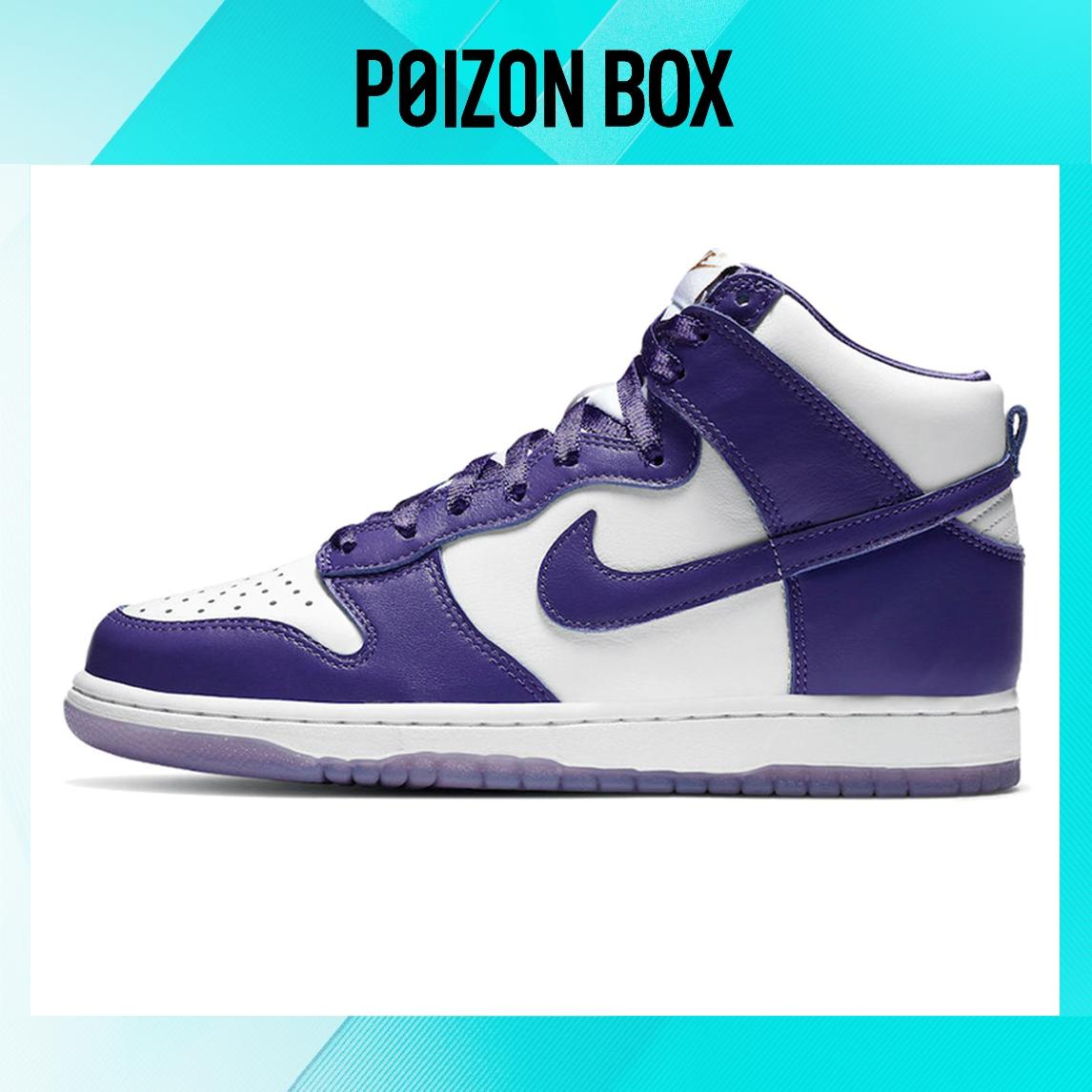 

Nike Dunk high Skateboarding Shoes Women