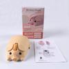 Wireless Bluetooth and USB Cute Pig Medium Compatible with Microsoft and Yellow Mouse, 2.4GHz Compatible, Design, Size, Quiet, Battery-Operated, iOS,