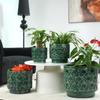 Mini Small Ceramic Plant Pot Ø19 cm, Glossy Rich Green Heart-Ornament Relief, Breathable Drainage Hole for Mini Succulents and Desktop Herbs