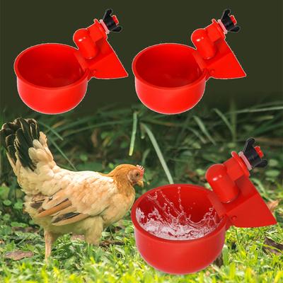 Chicken Feeder Drinking Bowl Drinking Water Quail Poultry Automatic Water Dispenser Duck Pigeon Free Range Chicken Waterer