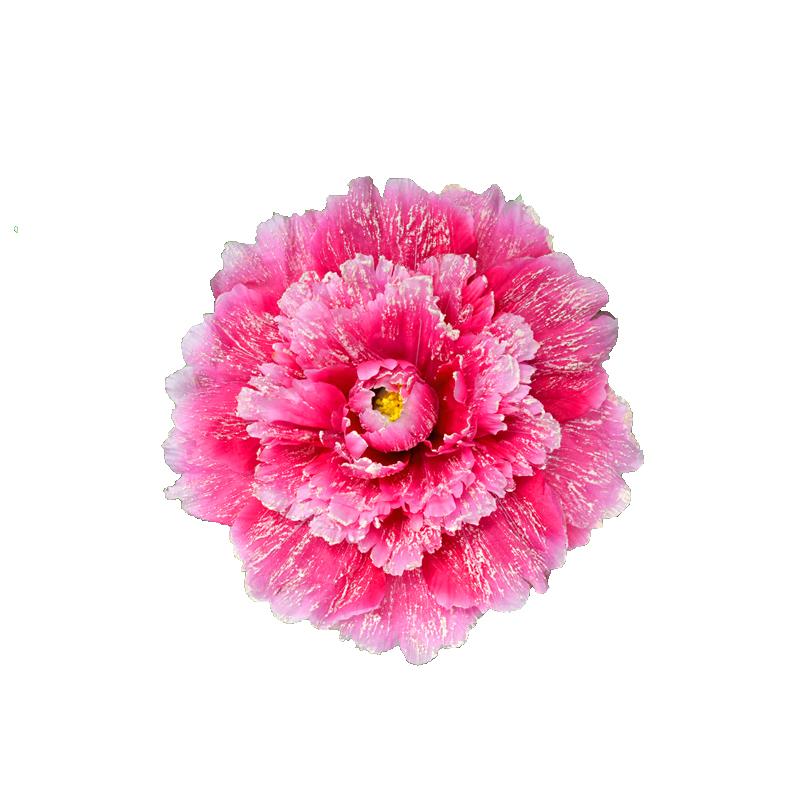

Dance performance Peony Prop Flower Dance Prop Peony Flower Umbrella Yangge Dance Stage Show FLOWER Sports Meeting Prop FLOWER 30 Яскраво-рожевий