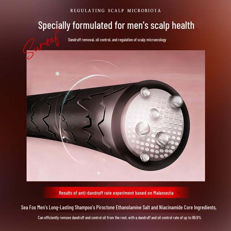 Haihuli Men's Oil Control & Anti-Dandruff Shampoo