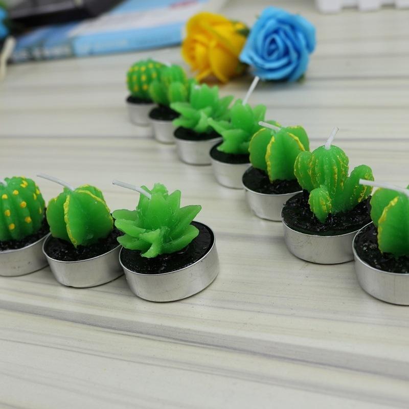 Lovely Fleshy Potted Plants Fruit Scented Candles Creative Home Decor
