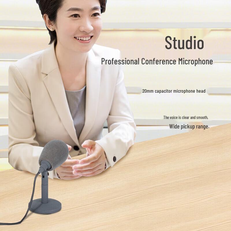 797audio CR876 Condenser Broadcasting Microphone (CN version)
