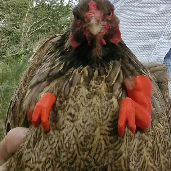 Chicken Muscle Arm Toy Funny Dinosaur Spoof Pet Props Chicken Forelimb Decor Fighting Chicken Photo Shoot Prop Halloween Birthdays Supplies