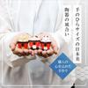 Osaka Choseido Torii Gate and Animal Fortune Slip Set Ceramic Shiba Inu Fox Height Includes free original wooden tag (25 pieces) - - Maneki-neko