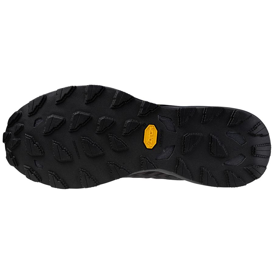 Sports Shoes Mizuno Ebony / Ultimate Gray / Black Wave Daichi 8 GTX