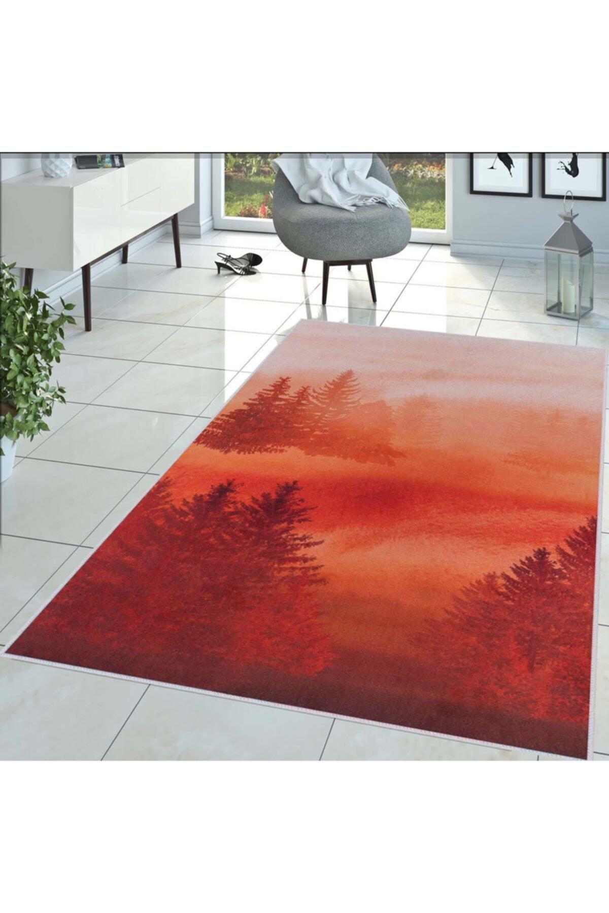 

Rovigo Home Моющийся ковер с принтом RVG1438 50x80 красный