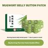 Mugwort Belly Button Patch Herbal Slimming Patch For Weight Loss Fat Burning Moisture Removal Navel Stick Health Care Accessory