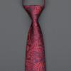 Burgundy Zip-Up Tie Men And Women Formal Wear Business Groom Best Man Wedding Korean Version No Striped Tie