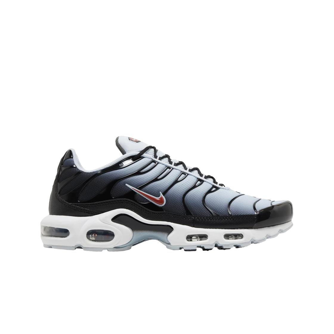 

Мужские кроссовки Nike Air Max Plus Black Blue Tint DM0032-008