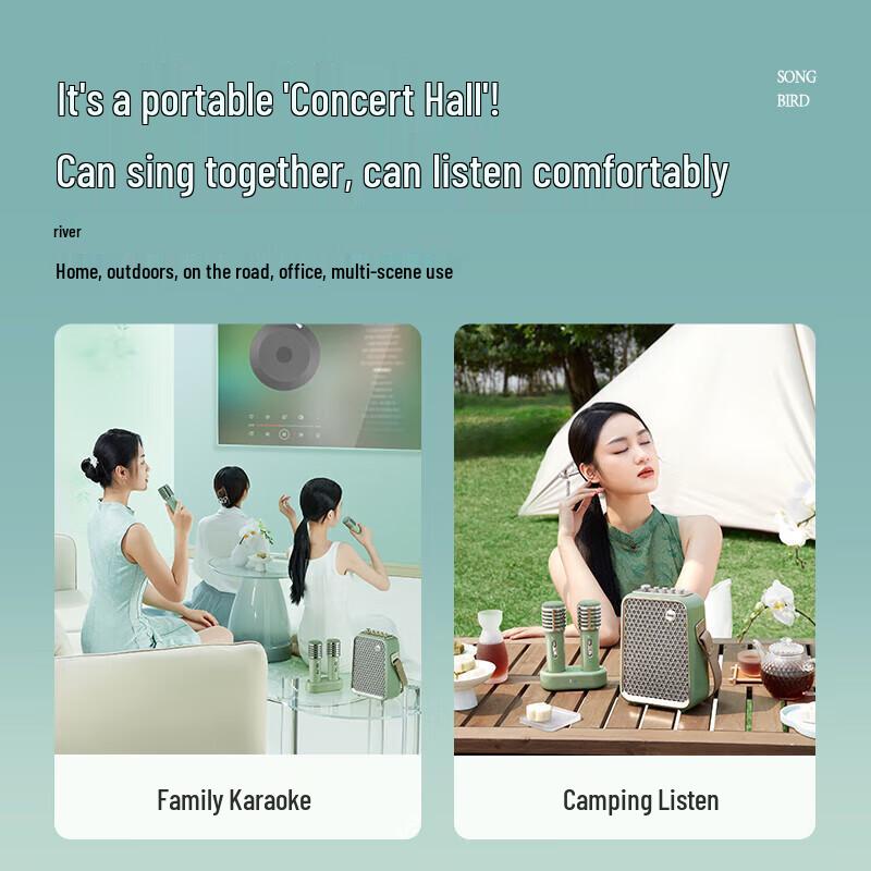 Portable Karaoke Bluetooth Speaker System