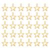 Zinc Alloy Pendants Star Golden 25.5x22x3mm Hole: 2.5mm 60pcs/box
