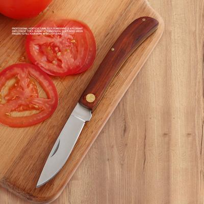 Edelstahl Obst Messer Tragbare Klapp Messer mit Holzgriff Haushalt Obst Klapp Schäler Küche Werkzeug Mini