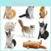 Ragdoll Cat Pvc Animal Model For Childrens Educational Playroom Decor