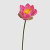 Long Stem Simulated Lotus EVA Decorative Fake Flower Fake Lotus Seedpod  Garden Supplies