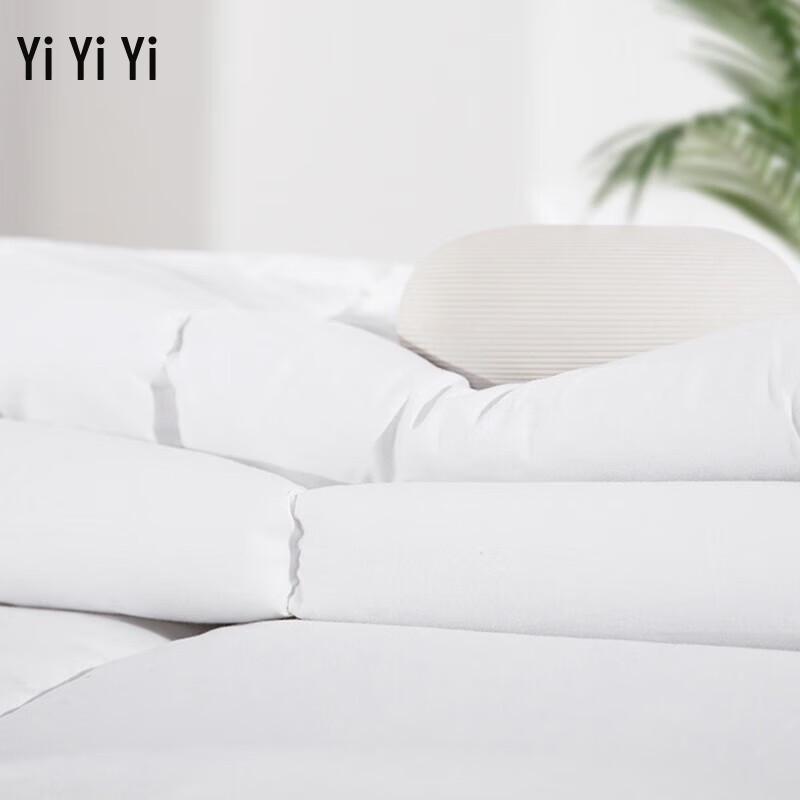 

Yiyiai Pure White All-Cotton Spring/Autumn Duvet Insert