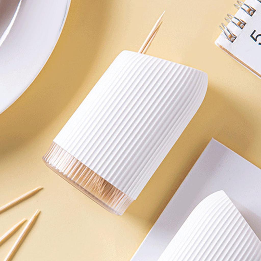 Toothpick Holder Multipurpose Luxury Creative Portable Tooth Pick Storage Dispenser for Kitchen