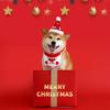 2-Piece Christmas Pet Toy Box Set for Dogs, Including Squeaky Plush Toys and Scarf Neck Wraps, Durable and Safe Chew Toys