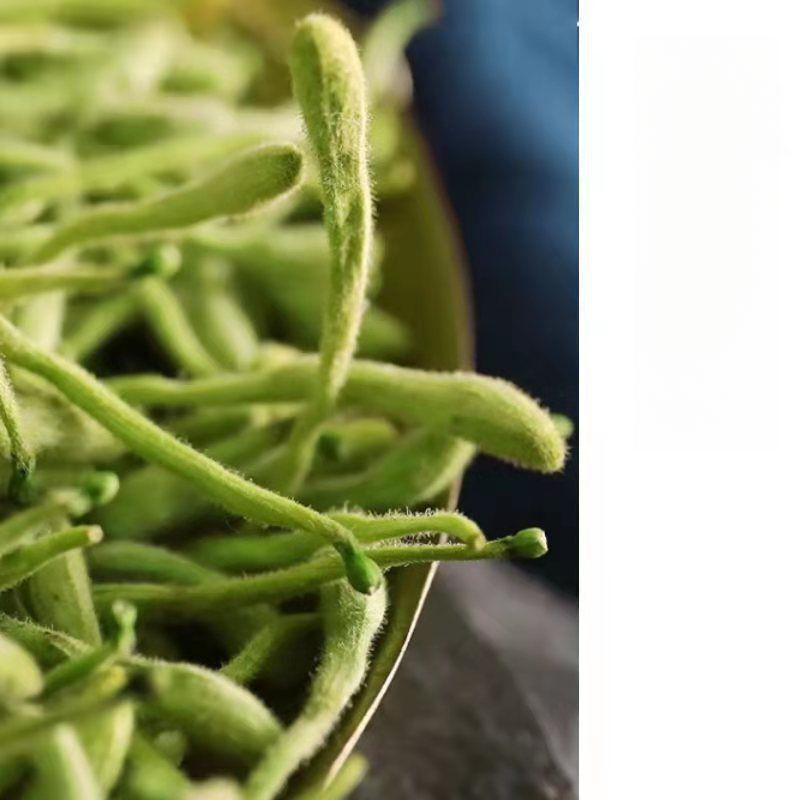 Top Quality 100g Honeysuckle Tea, Selected New Sulfur-free Honeysuckle Tea