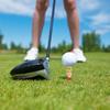 VANZACK Protective Tee Guard for Golf Tees, Long Tees, Plastic,
