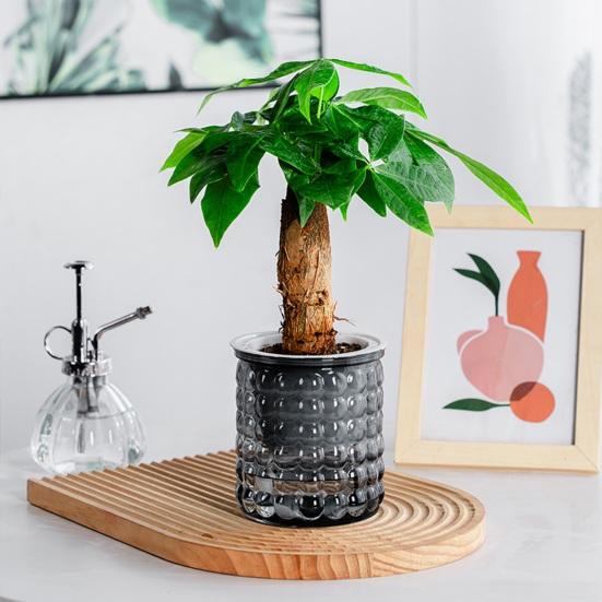 Self-Absorbing Flowerpot with Transparent Water Level Indicator Self Watering Planter with Bubble Texture Double-Layer Design for Indoor Plants