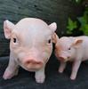 Pig Figurine Set Two Parent Child Pigs Animal Ornament Garden Object Gardening Street Cart Interior Miscellaneous Goods Display Yard Entrance Object.