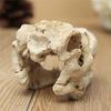 Resin Crocodile Skull Terrarium Reptile Fish Tank Ornament Aquarium Decoration