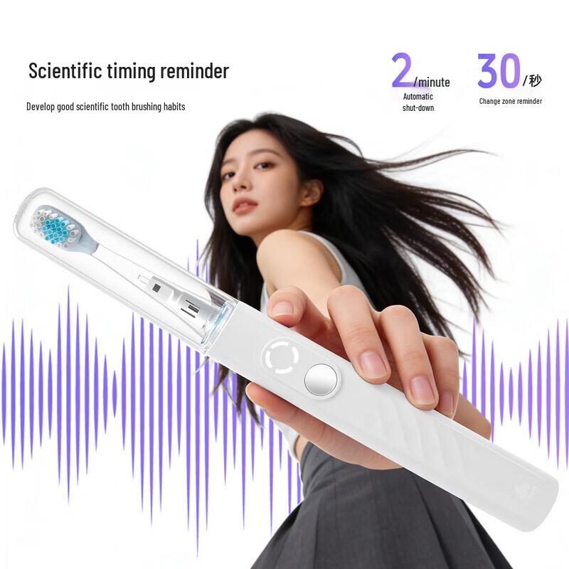 Chigo Sonic Electric Toothbrush with UV Sterilization and Travel Case CN plug (adapter included)