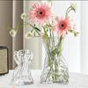 Large Light Luxury Glass Vase for Living Room: Hydroponic Plant & Flower Arrangement