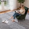 Indoor Plush Area Rugs, 2.74 x 3.66 m Plush Carpet, Area Rugs Furry with Long Plushs Pile, Thick & Durable High-Pile Rug for High-Traffic Areas,