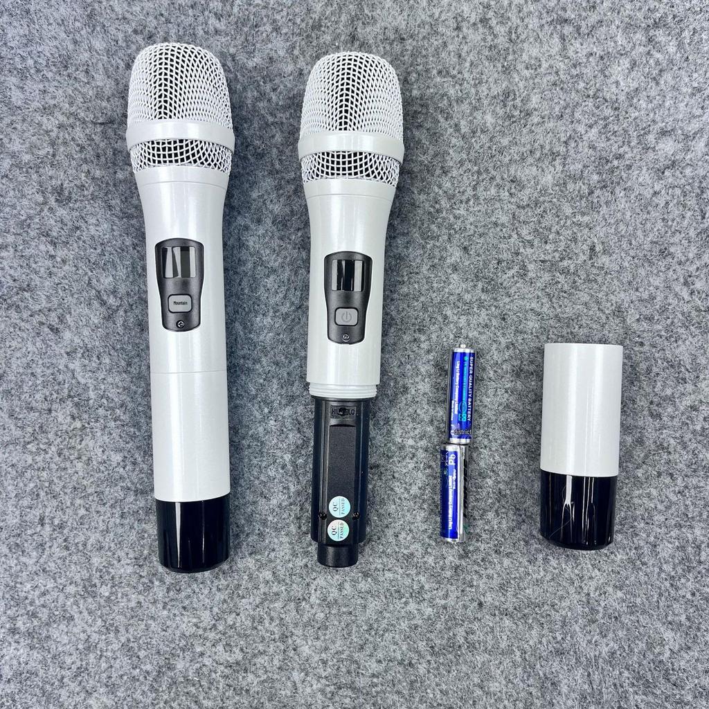 Premium U-Band Infrared Wireless Dual Microphone System with Lavalier & Headset for Stage and Conference Use