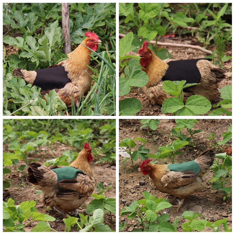 Chicken Helmet Cap Pet Protective Gear Sun Rain Protection Helmet Toy Bird Hens Small Pet Supplies Costumes Accessories