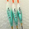 Nano High-Sensitivity Thickened Carp Fishing Float - Bright Mixed Culture Gear