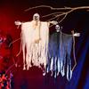 Hanging Skeleton Ghosts,Scary Flying Ghost with Wizard Hat for Haunted House Decor, Patio Porch Skull Prop