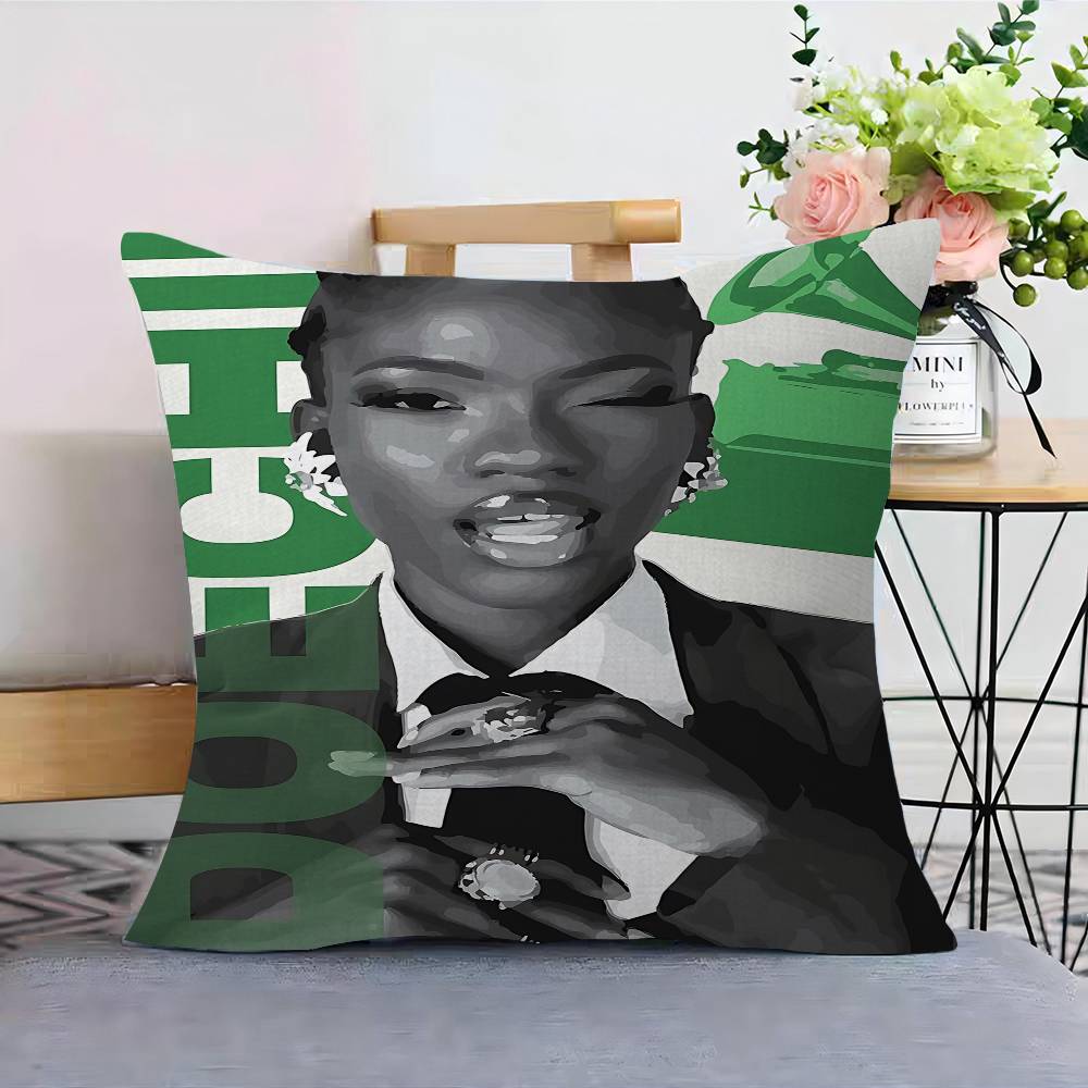 D-Doechii Cushion Cover Polyester Sofa Cushions Decorative Throw Pillows Home Decoration Pillowcover
