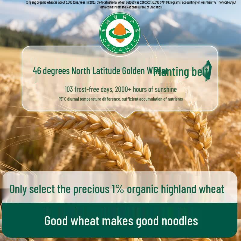Yeesung Organic Infant Thread Noodles