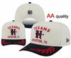2026 Team AA Hochwertige Kappe Verstellbar 3D Bestickte Hip Hop Kappe