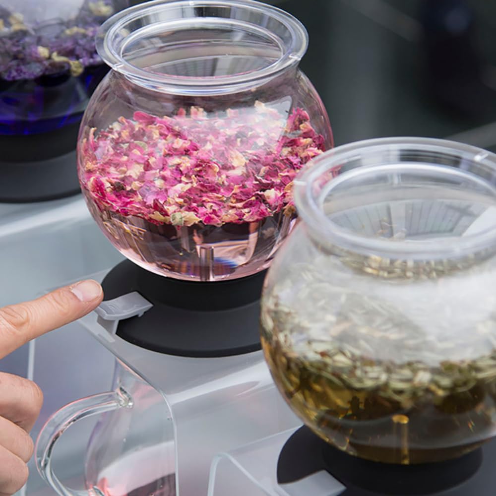 Hario Tea Dripper Largo Stand Set 800ml Present Gift TDR-8006T