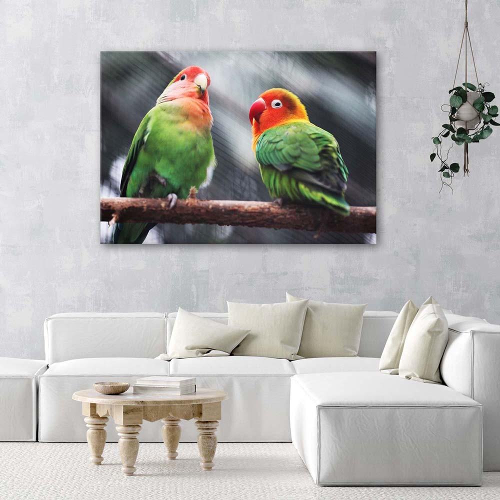 Canvas Print, Coloured Parrots