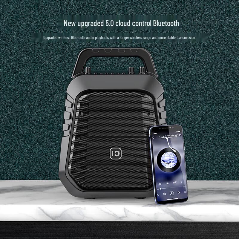 Shidu S98 Portable Bluetooth KTV Speaker