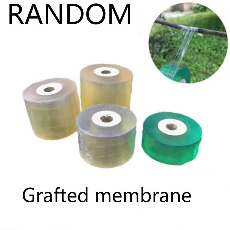 1Roll 2CM X 100M Grafting Tape Stretchable Self-adhesive Garden Flower Vegetable Tapes Supplies