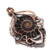 Ammonite Fossil Pendant, Gemstone 999 Copper Wire Wrapped Jewelry Pendant, Handmade Jewelry Beautiful Pendant