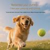Deyou Pet Wipes for Cats & Dogs