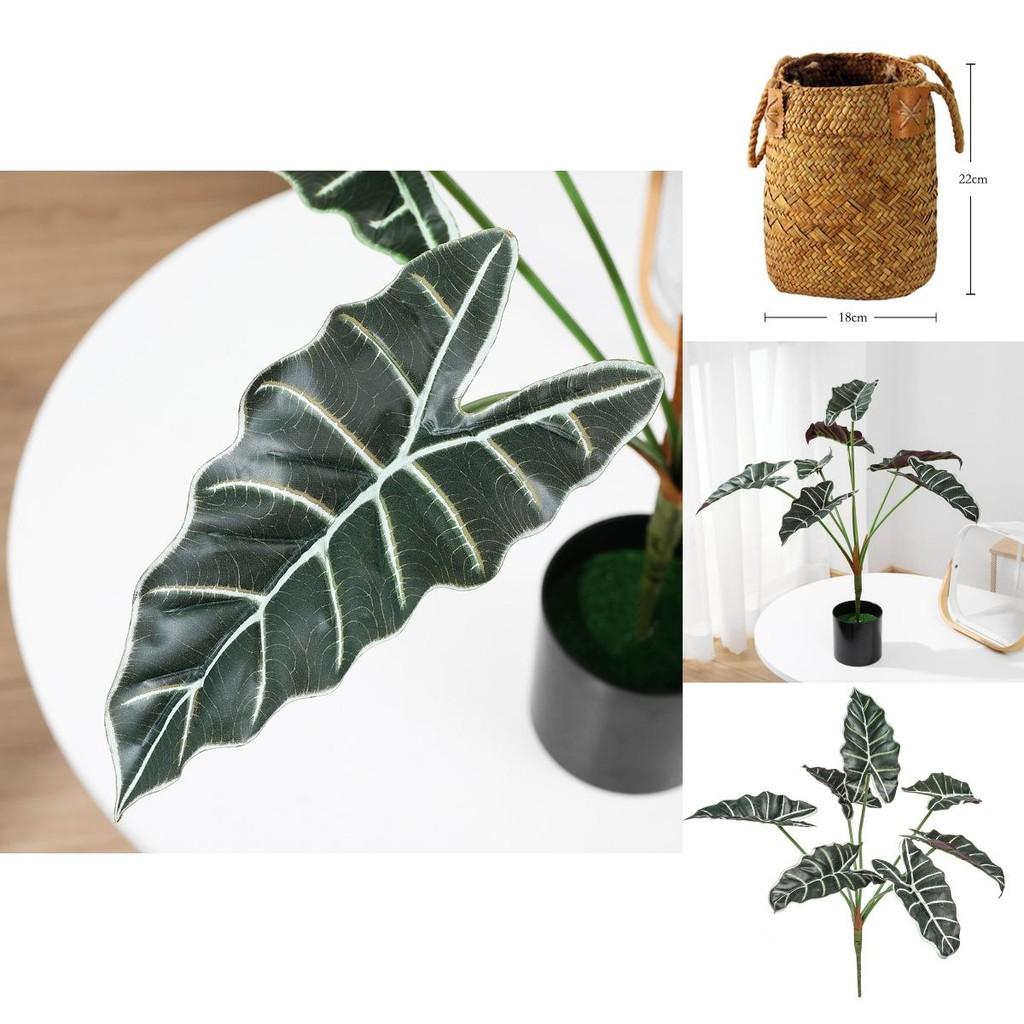 Planta Artificial Estilo Folha de Alocasia Odora com Cesta Artesanal Para Decoração de Casa
