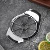 Stainless Steel Apple and Fruit Slicer & Pitter