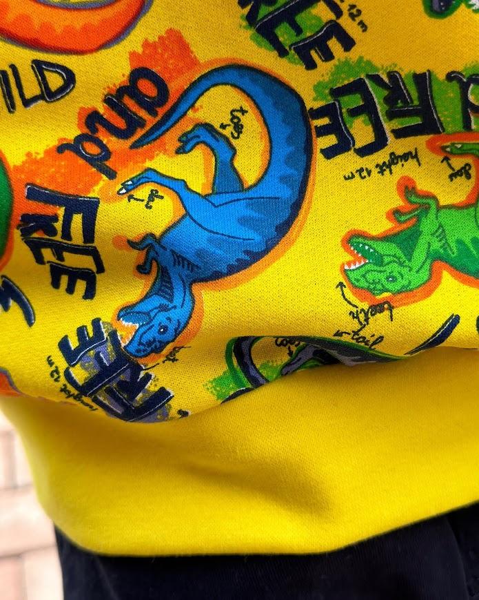 Boys’ Knit Sweatshirt – Fashionable and Durable, Demi-season, 6069-024-4 HC